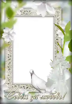 Photo effect from category Wedding frames № 154744. An inscription on the frame: Our wedding Photo effect from category Wedding frames № 154744. An inscription on the frame: Our wedding