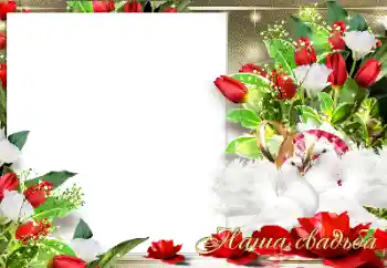 Photo effect from category Wedding frames № 157113. An inscription on the frame: Our wedding Photo effect from category Wedding frames № 157113. An inscription on the frame: Our wedding