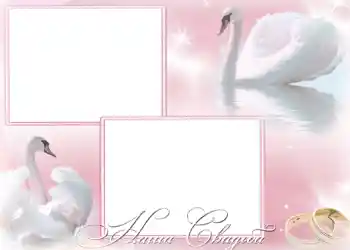 Photo effect from category Wedding frames № 168. An inscription on the frame: Our wedding Photo effect from category Wedding frames № 168. An inscription on the frame: Our wedding