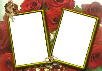 Photo effect from category Wedding frames № 1768 Photo effect from category Wedding frames № 1768