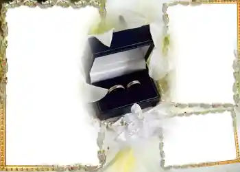 Photo effect from category Wedding frames № 182 Photo effect from category Wedding frames № 182