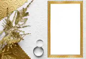 Photo effect from category Wedding frames № 205549