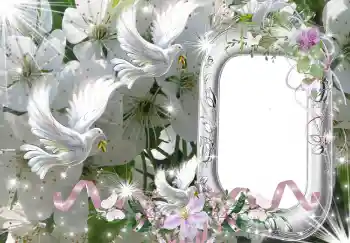 Photo effect from category Wedding frames № 2318 Photo effect from category Wedding frames № 2318