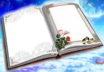 Photo effect from category Wedding frames № 31735 Photo effect from category Wedding frames № 31735