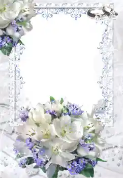 Photo effect from category Wedding frames № 52201 Photo effect from category Wedding frames № 52201