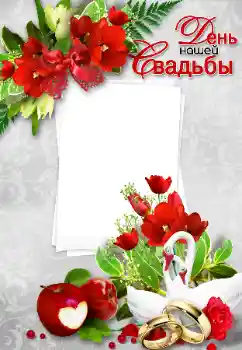 Photo effect from category Wedding frames № 85245. An inscription on the frame: Our wedding Photo effect from category Wedding frames № 85245. An inscription on the frame: Our wedding