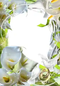 Photo effect from category Wedding frames № 89507 Photo effect from category Wedding frames № 89507
