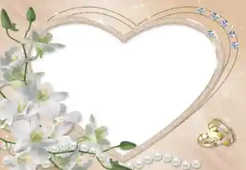 Photo effect from category Wedding frames № 93132