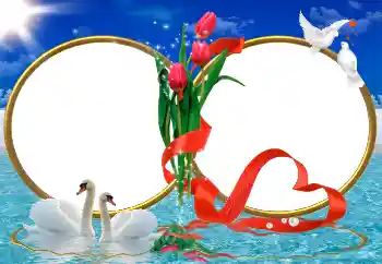 Photo effect from category Wedding frames № 9726 Photo effect from category Wedding frames № 9726