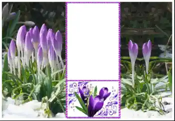 Photo effect from category Women's photo frames № 179360 Photo effect from category Women's photo frames № 179360