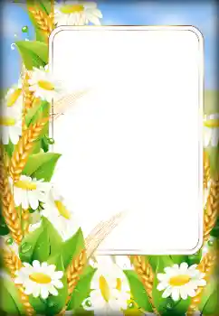 Photo effect from category Women's photo frames № 179526 Photo effect from category Women's photo frames № 179526