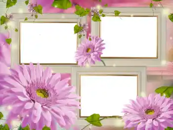Photo effect from category Women's photo frames № 181986 Photo effect from category Women's photo frames № 181986
