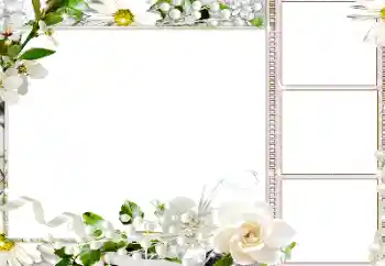 Photo effect from category Women's photo frames № 184586 Photo effect from category Women's photo frames № 184586