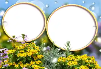 Photo effect from category Women's photo frames № 184588 Photo effect from category Women's photo frames № 184588