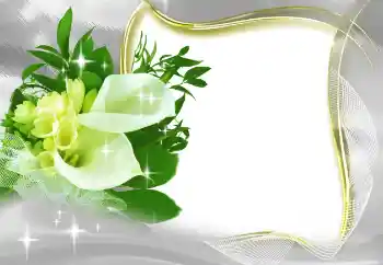 Photo effect from category Women's photo frames № 185965 Photo effect from category Women's photo frames № 185965