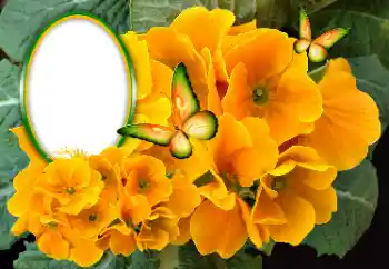 Photo effect from category Women's photo frames № 189369