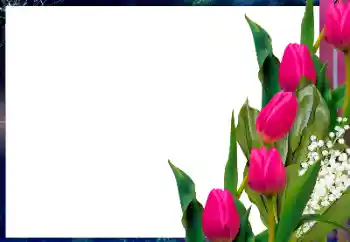 Photo effect from category Women's photo frames № 196425 Photo effect from category Women's photo frames № 196425