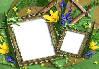 Photo effect from category Women's photo frames № 196631 Photo effect from category Women's photo frames № 196631