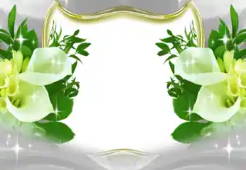 Photo effect from category Women's photo frames № 197643 Photo effect from category Women's photo frames № 197643