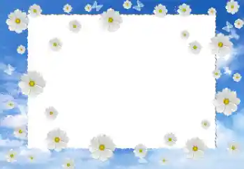 Photo effect from category Women's photo frames № 198782 Photo effect from category Women's photo frames № 198782