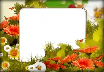 Photo effect from category Women's photo frames № 198826 Photo effect from category Women's photo frames № 198826