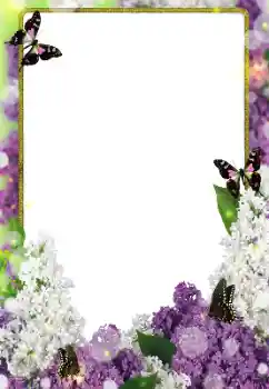 Photo effect from category Women's photo frames № 203271