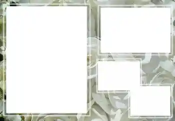 Photo effect from category Women's photo frames № 205789