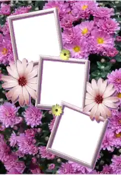 Photo effect from category Women's photo frames № 205803
