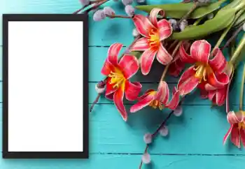 Photo effect from category Women's photo frames № 206174 Photo effect from category Women's photo frames № 206174