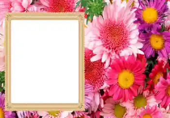 Photo effect from category Women's photo frames № 206193