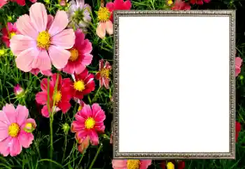 Photo effect from category Women's photo frames № 206194