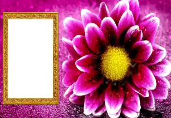 Photo effect from category Women's photo frames № 206195